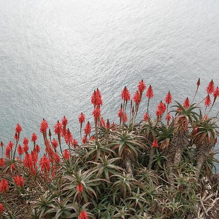 Apartment Palma Madeira Wandern Und Tauchen Caniço Εξωτερικό φωτογραφία