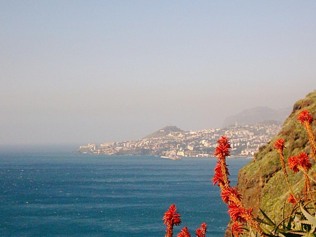 Apartment Palma Madeira Wandern Und Tauchen Caniço Εξωτερικό φωτογραφία
