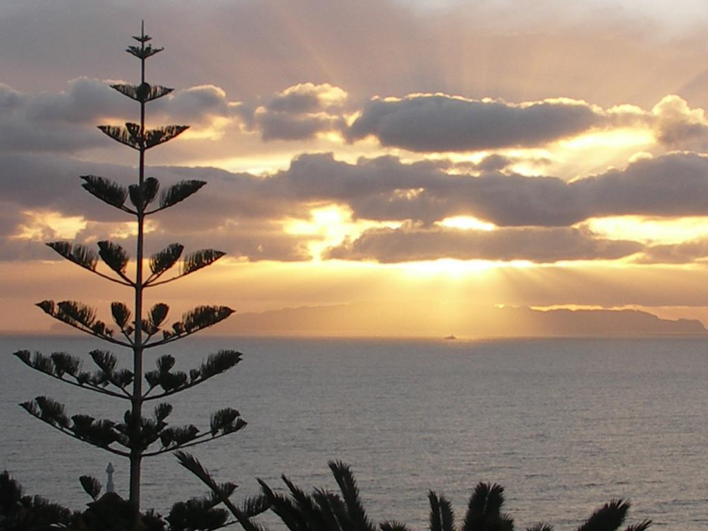 Apartment Palma Madeira Wandern Und Tauchen Caniço Δωμάτιο φωτογραφία
